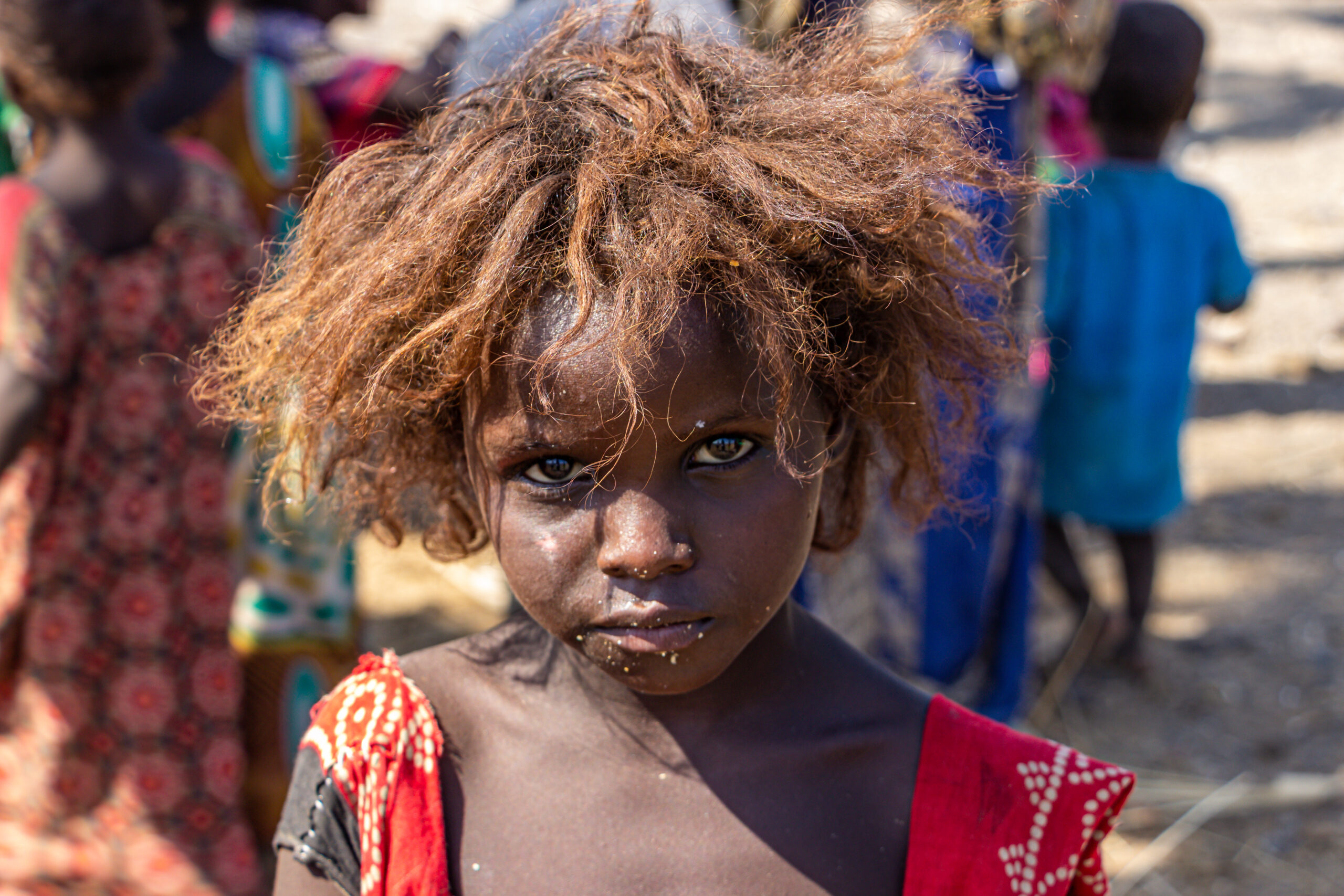 Tales of the Djibouti By Camille Massida